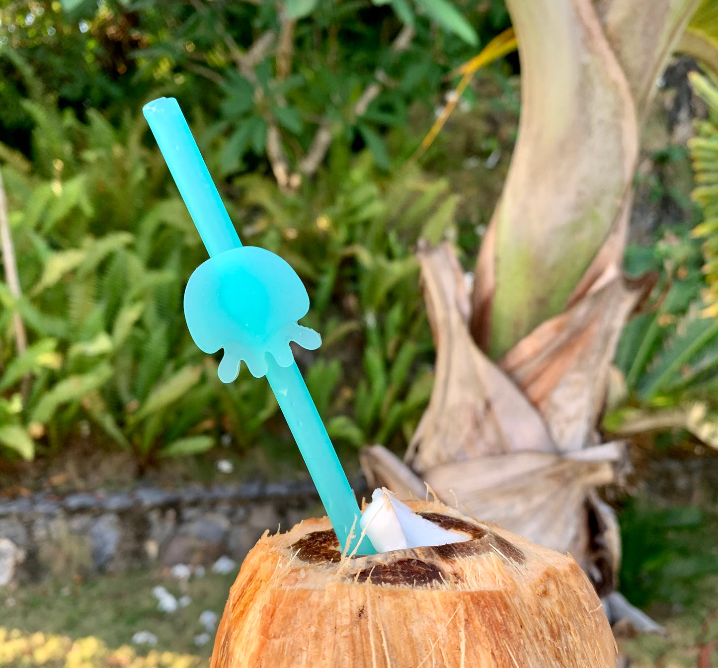 Animal Friend Straws - Jelly and Llama 2 Pack