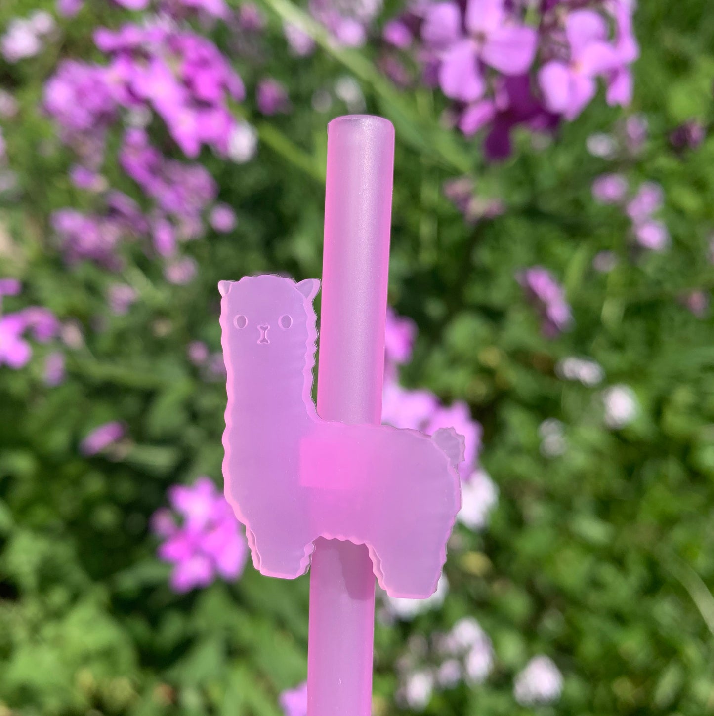 Animal Friend Straws - Jelly and Llama 2 Pack